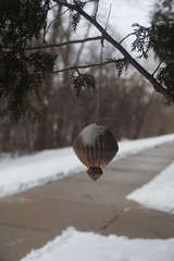 CHRISTMAS SINGLE ORNAMENTS OUTSIDE HANGING ON A PINE TREE, SNOW COVERED GROUND