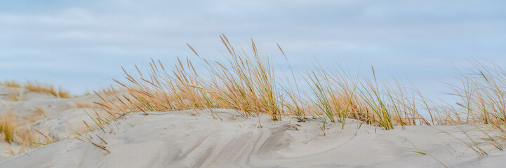 sand dunes at sea on a cold autumn evening