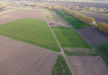 Small agricultural plantations with different crops and growing crops in rural areas.