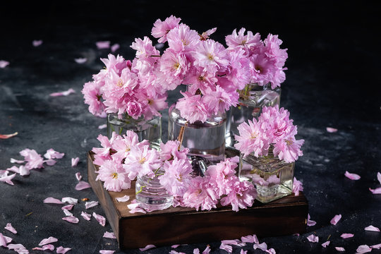 Cherry blossom, sakura flowers in a glass jar with a old book with petals