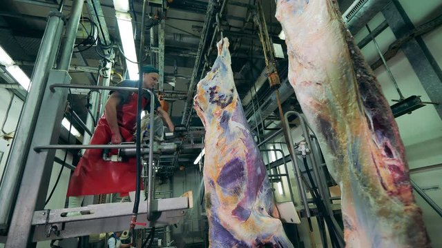 Male butcher is carving meat carcasses with a mechanical saw. Food production, meat,pork processing factory.