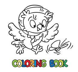 Funny little owl catching butterfly. Coloring book