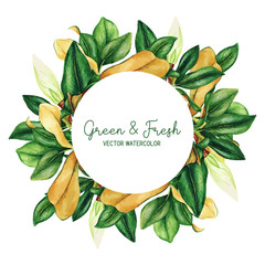 Fototapeta premium Round banner with hand drawn watercolor dark green leaves