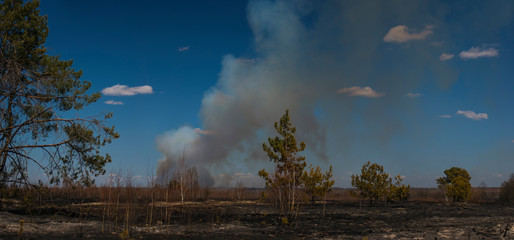 Editorial, Rivne, Ukraine, 11-04-2020, Photographer in Massive Wild Bushfire in Ukraine, Disaster, Ecological Catastrophe