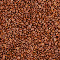 coffee beans close up macro