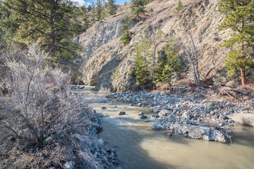 Creek flowing through forested ravine in early springtime in Okanagan Valley