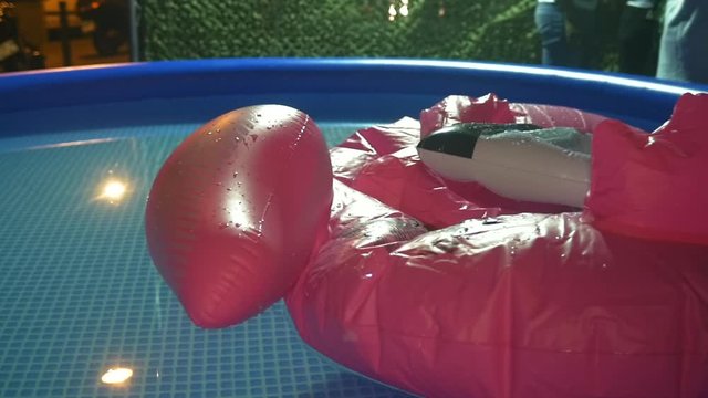 Deflated flamingo buoy in swimming pool