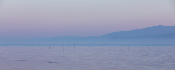 Pastel tone sunrise with morning fog over the water of lake Trasimeno, reed in the front, hill silhouettes in the distance, Tuscany Italy.