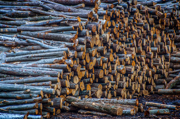 Obraz premium Hudson Pointe Nature Preserve Upstate New York Adirondacks