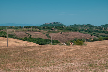 Fototapeta na wymiar Tuscan landscape with meadows and trees on a sunny summer day, Italy