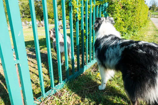 Flirten Stock Photos And Royalty Free Images Vectors And Illustrations Adobe Stock