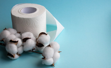 Toilet paper roll isolated on a blue background, with a branch of fluffy cotton flowers