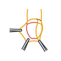 circumcision line icon, vector illustration