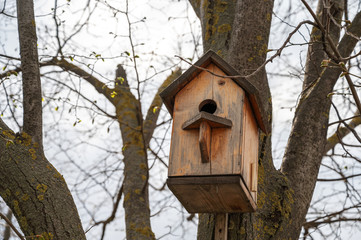 simple wooden birdhouse nailed to a tree in a park