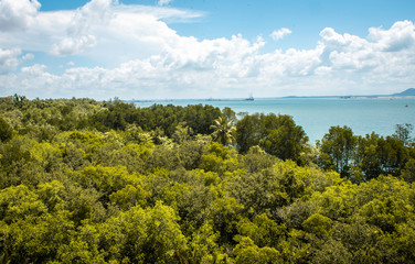 Fototapeta na wymiar View from lookout on Pulau Ubin island of the tropical sea, next to Singapore