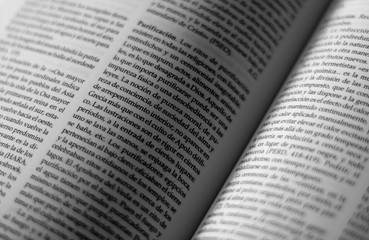 Obraz premium Lectura