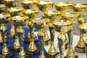 Fototapeta na wymiar award cups for the exhibition
