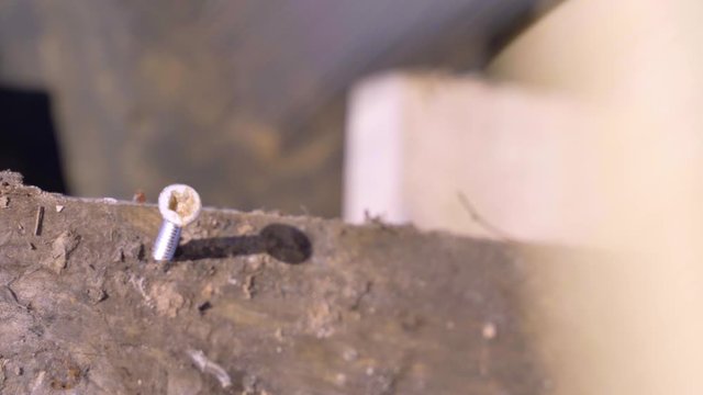Hammer drives in a stainless steel nail into a dirty wooden plank at the construction site, close up. Self tapping screw is bent due to improper use.