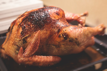 Festive celebration baked stewed roasted homemade turkey with gravy for Thanksgiving or Christmas table