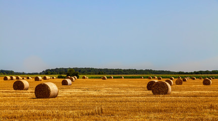 Field landscape with hay bales in summer.