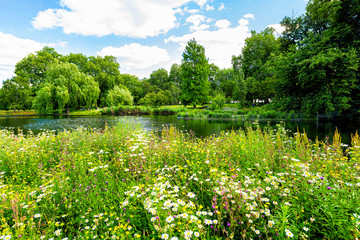 London Saint James Park green foliage and trees in sunny summer with many flowers by pond river...