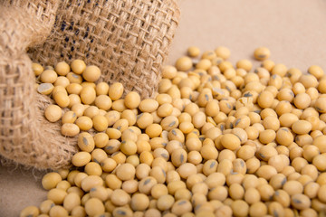 Soy beans