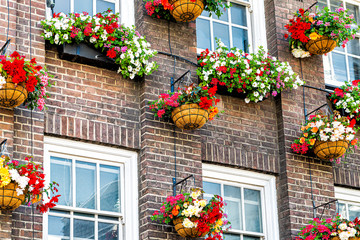 Fototapeta na wymiar Flower box colorful decorations on windows summer day with brick architecture in London, UK neighborhood district of Kensington
