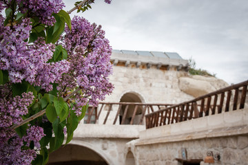 Lilac branch on the background of a stone house