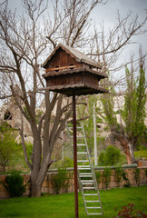 Large birdhouse on a tree background