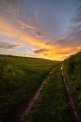 Muddy dirt road heading to the distance next to vine fields in a summer sunset with clouds in nature after rain storm in Hungary