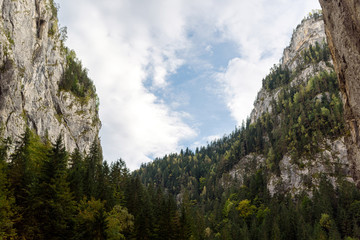 Obraz premium View of the forest and mountains in the Gorge Bicaz Canyon in the fall. The canyon is one of the most impressive roads in Romania - the Carpathians. Bicaz Canyon (Cheile Bicazului)