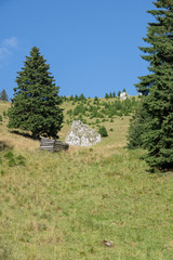 Obraz premium Cheia, Transylvania, Carpatian Mountains, Romania