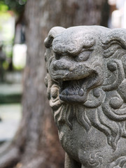 Fototapeta na wymiar Close-up of Komainu or Japanese guardian lion dog statue.