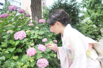 紫陽花と着物の女性