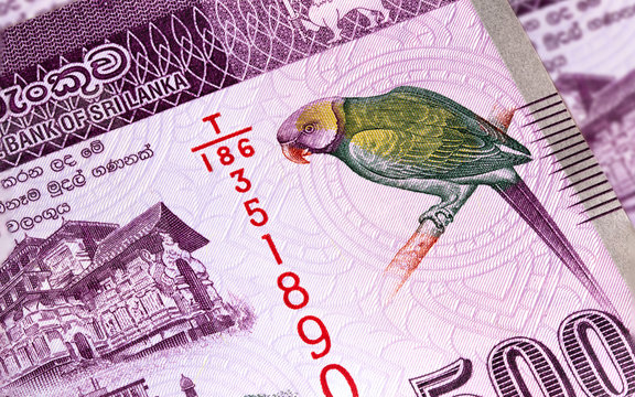 Macro photography of 500 Sri Lanka Rupee or Rupie. Paper currency of the republic Sri Lanka. Money of the island country. Close up to the colorful Sri Lanka Layard's parakeet on the front of the note