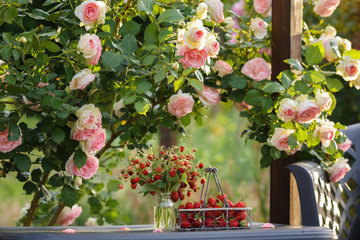 A beautiful garden with blooming french roses. Bouquet of small-fruited strawberries in a glass and strawberries in a basket on the table. Summer day in the counry. Horizontal frame