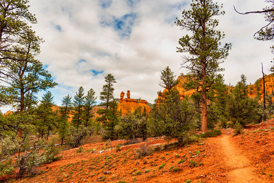 Salt and Pepper Shaker Rocks, Red Canyon, Dixie National Forest, Utah, USA