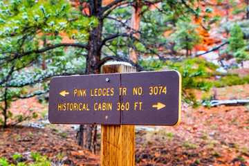 View of trail signpost  from Pink Ledges Hiking Trail , Red Canyon, Dixie National Forest, Utah, USA