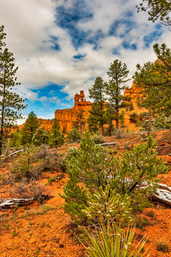 Salt and Pepper Shaker Rocks, Red Canyon, Dixie National Forest, Utah, USA