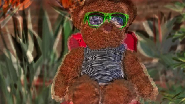 teddy bear with sunglasses in a garden