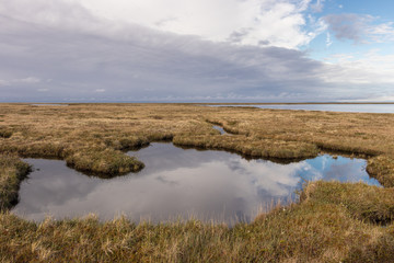 Landscape of summer tundra, lakes, marshes, grass, cloudy day, blue sky