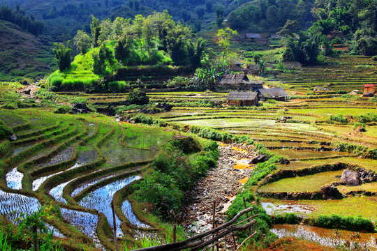 Wietnam wiejski obszar