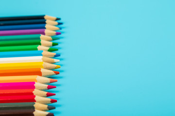 portrait of set of colorful pencils on blue background with copy space