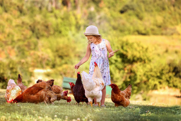 Little girl in a hat and dress korimt chickens who walk on a meadow on a farm.Organic breeding.Selective focus