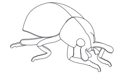 Vector illustration of a geometric polygonal ladybug. Abstract linear insect.