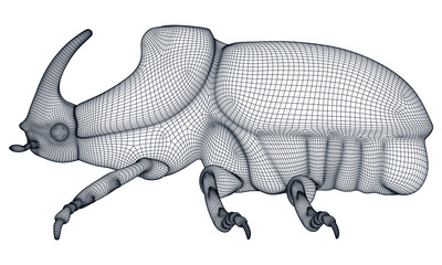 Vector illustration of a geometric polygonal rhinoceros beetle. Abstract linear insect.