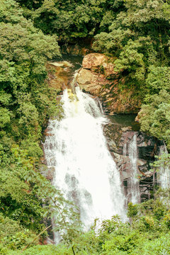 Cachoeira escondida na vegeta&ccedil;&atilde;o