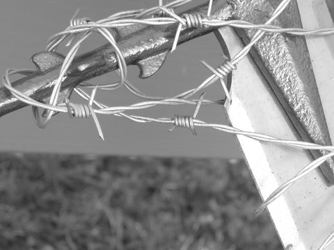 barbed wired sword