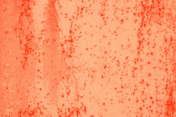 abstract live coral color background for design