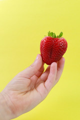 Fresh juicy strawberry , hand holding a strawberry, red fruit
